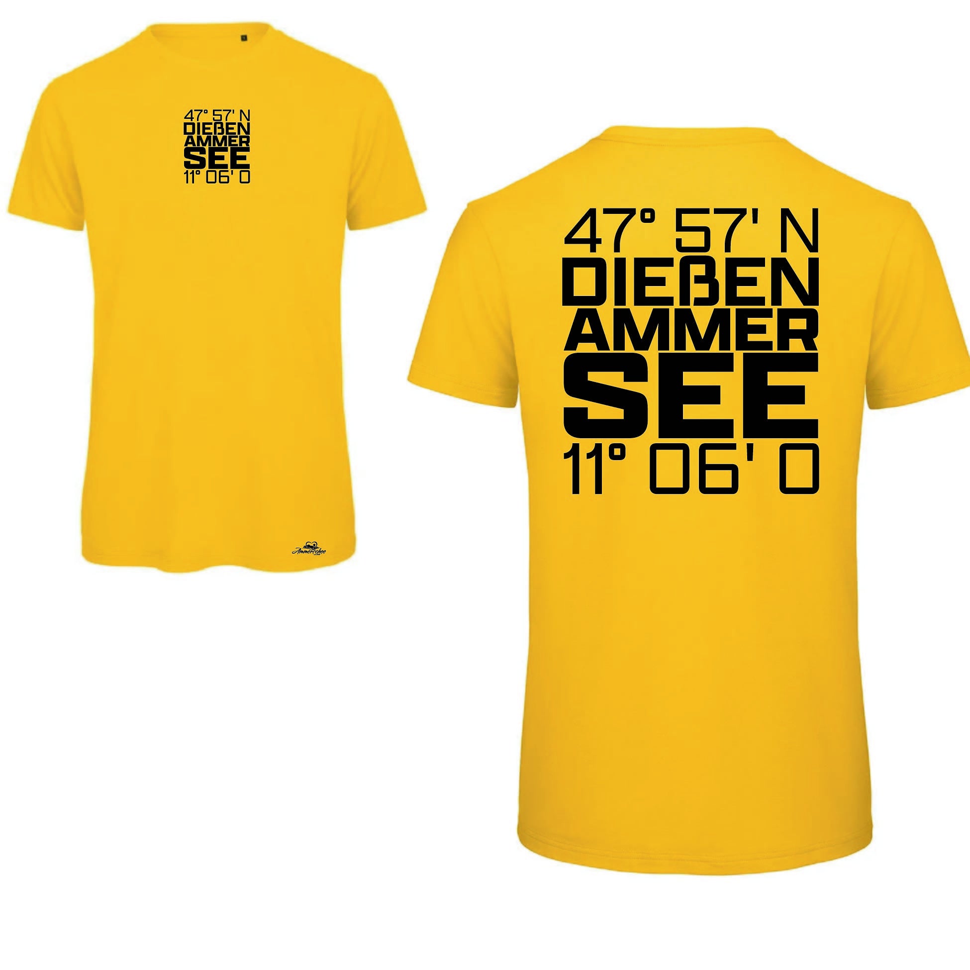 Koordinaten T-Shirt